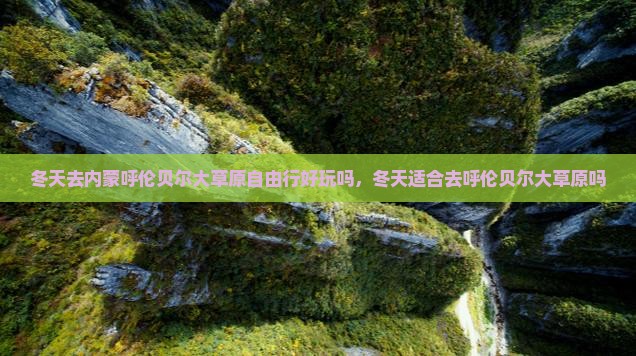冬天去内蒙呼伦贝尔大草原自由行