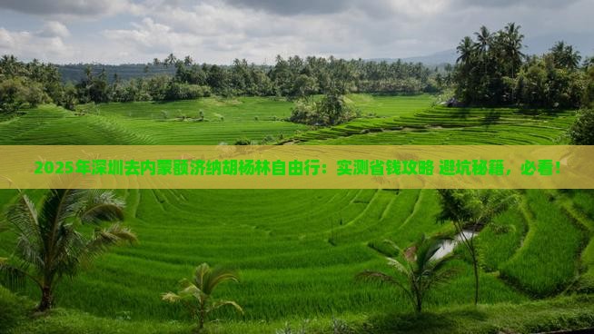 深圳去内蒙额济纳胡杨林自由行