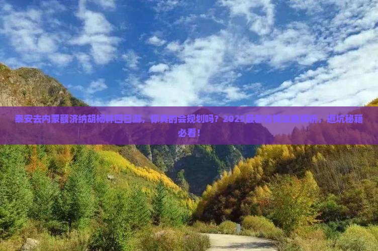 泰安去内蒙额济纳胡杨林四日游