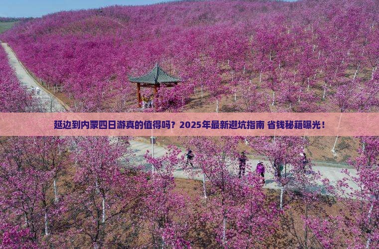 延边到内蒙四日游