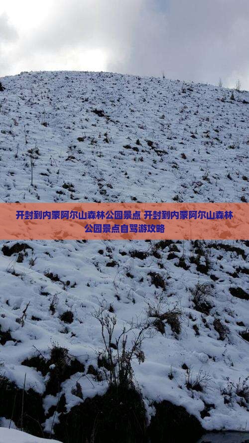 开封到内蒙阿尔山国家森林公园景点