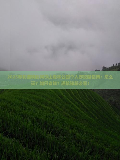 呼和浩特到内蒙阿尔山国家森林公园个人游
