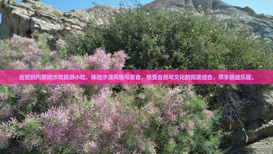 合肥到内蒙响沙湾旅游小吃