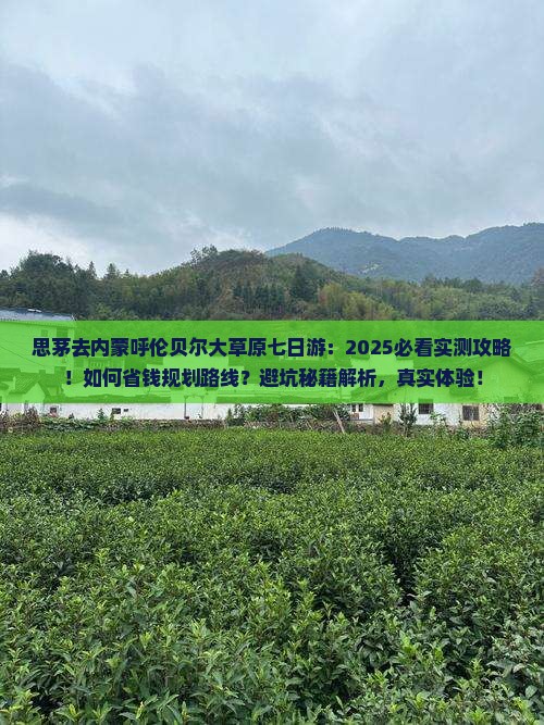 思茅去内蒙呼伦贝尔大草原七日游
