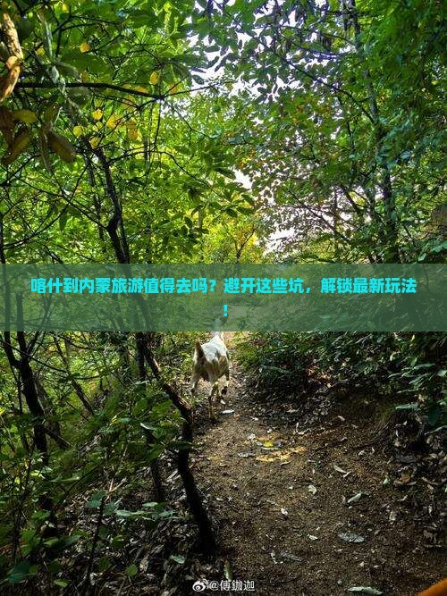 喀什到内蒙旅游