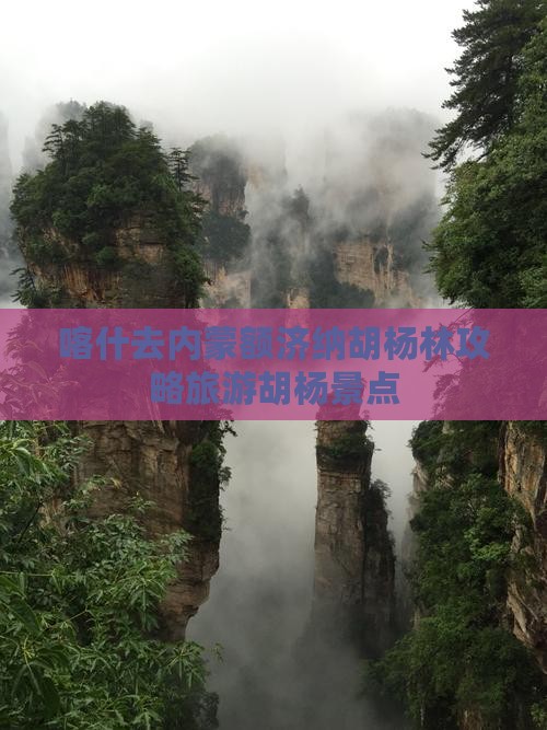 喀什去内蒙额济纳胡杨林景点