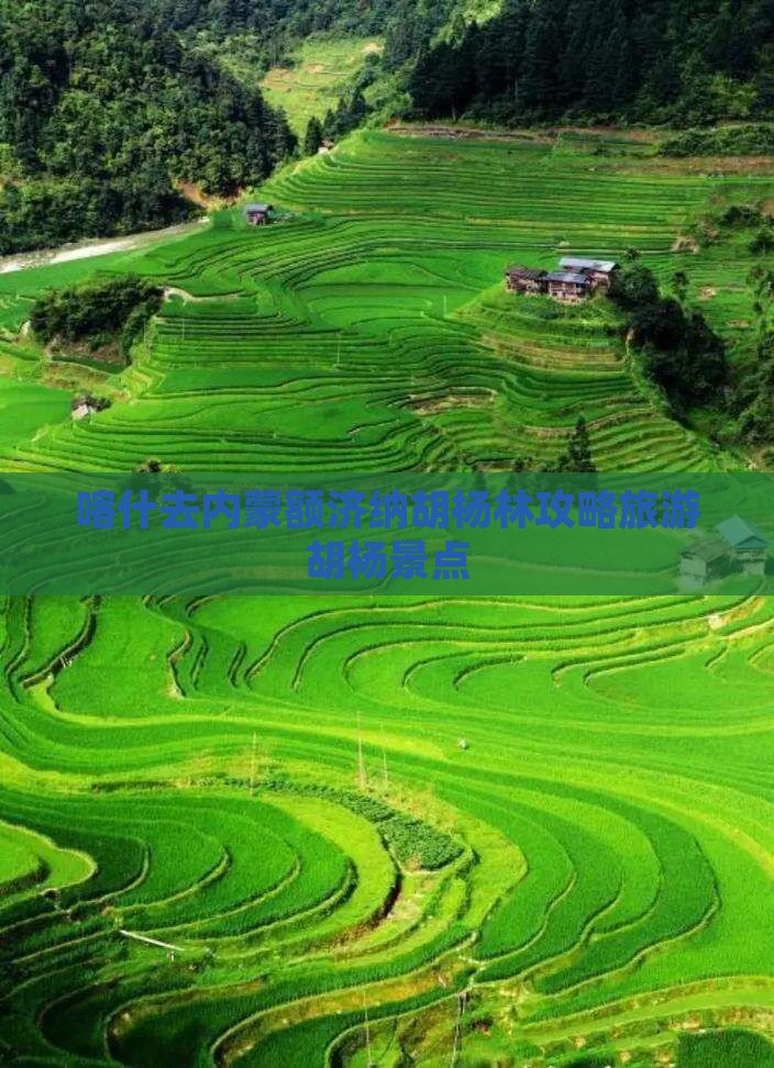 喀什去内蒙额济纳胡杨林景点