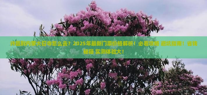 许昌到内蒙大召寺门票