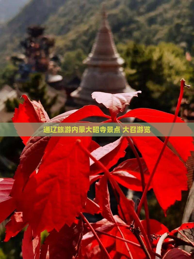 通辽去内蒙大召寺景点