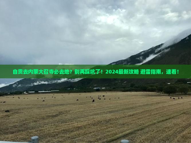 自贡去内蒙大召寺必去地
