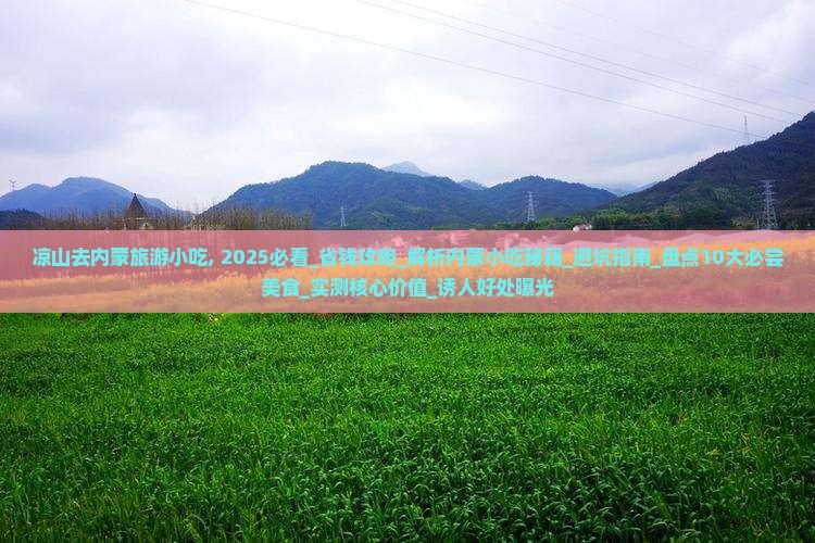 凉山去内蒙旅游小吃
