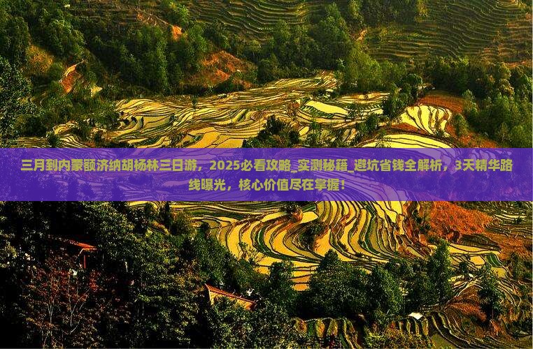 三月到内蒙额济纳胡杨林三日游