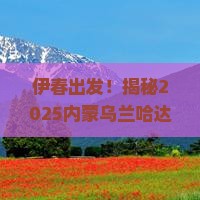 伊春去内蒙乌兰哈达火山地质公园二日游
