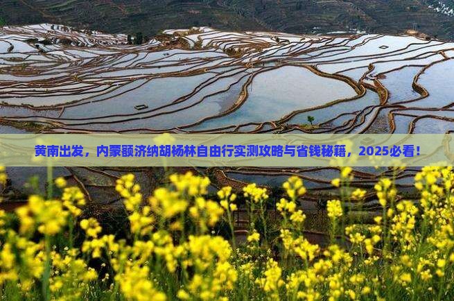 黄南去内蒙额济纳胡杨林自由团