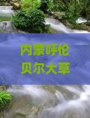 五家渠去内蒙呼伦贝尔大草原二日游