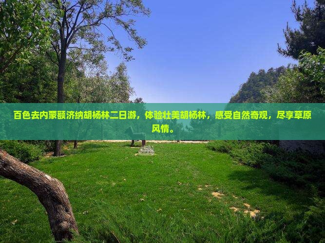 百色去内蒙额济纳胡杨林二日游