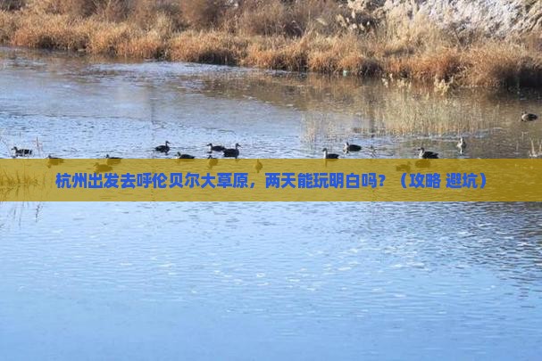 杭州去内蒙呼伦贝尔大草原二日游