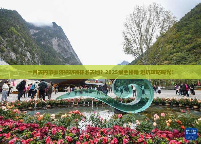 一月去内蒙额济纳胡杨林必去地