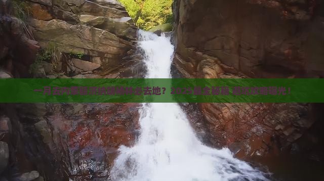 一月去内蒙额济纳胡杨林必去地