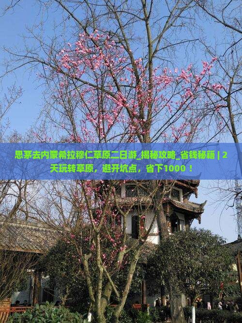 思茅去内蒙希拉穆仁草原二日游