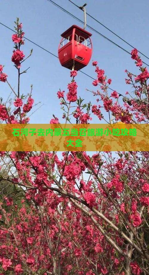 石河子去内蒙五当召旅游小吃