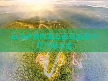 石河子去内蒙五当召旅游小吃