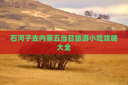 石河子去内蒙五当召旅游小吃