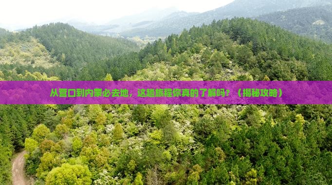 营口到内蒙必去地