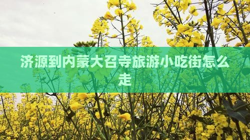 济源到内蒙大召寺旅游小吃