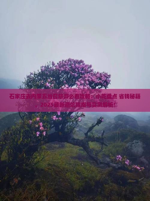 石家庄去内蒙五当召旅游小吃