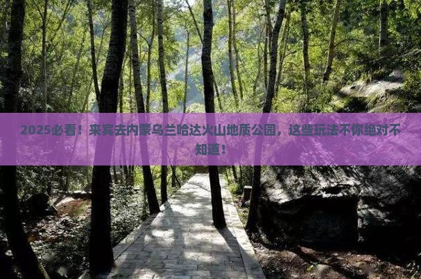 来宾去内蒙乌兰哈达火山地质公园哪里玩