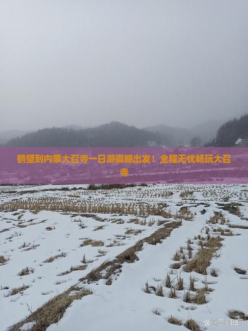 鹤壁到内蒙大召寺一日游