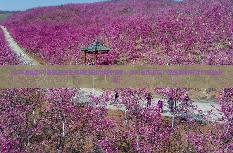 凉山到内蒙额济纳胡杨林四日游