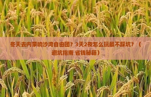 冬天去内蒙响沙湾自由团