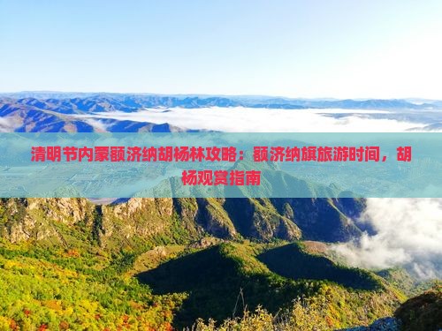 清明节到内蒙额济纳胡杨林攻略