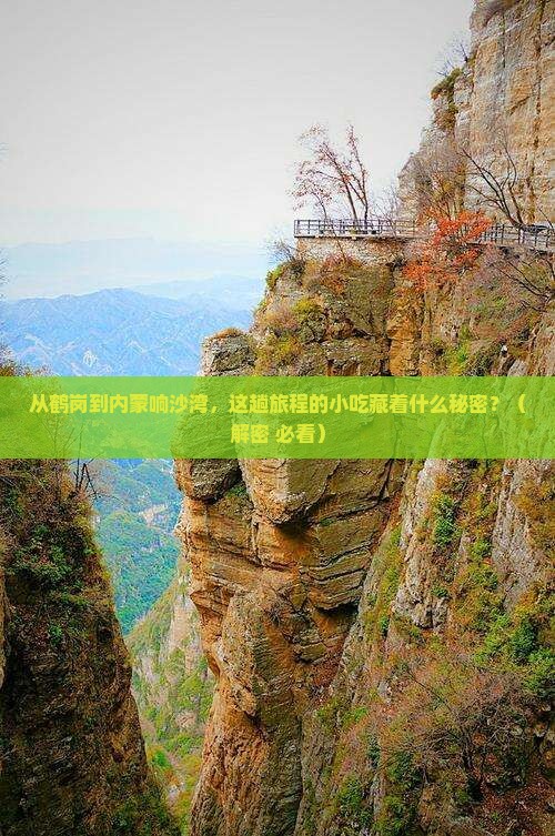鹤岗到内蒙响沙湾旅游小吃