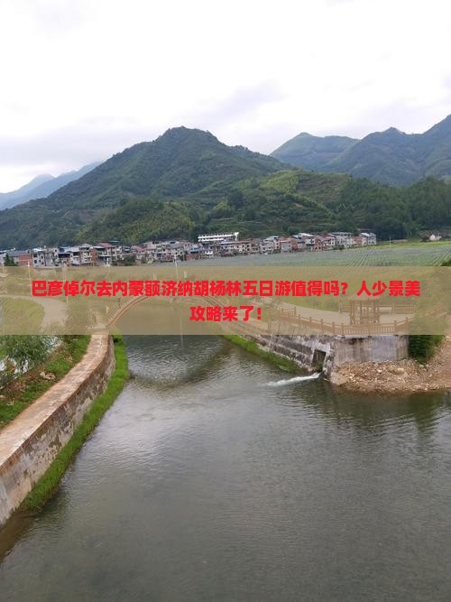 巴彦倬尔去内蒙额济纳胡杨林五日游