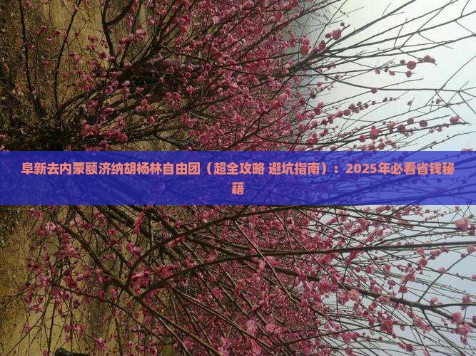 阜新去内蒙额济纳胡杨林自由团