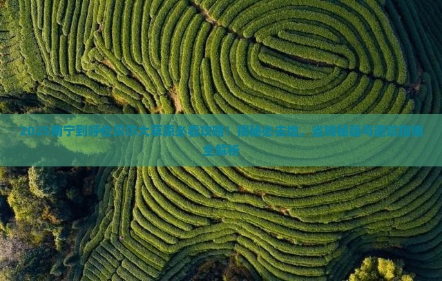南宁到内蒙呼伦贝尔大草原必去地