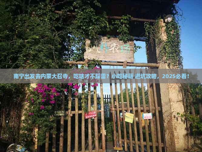 南宁去内蒙大召寺旅游小吃