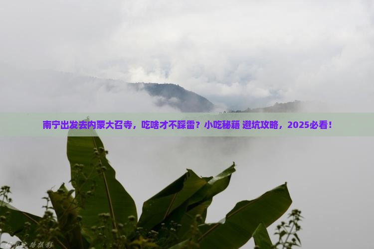 南宁去内蒙大召寺旅游小吃