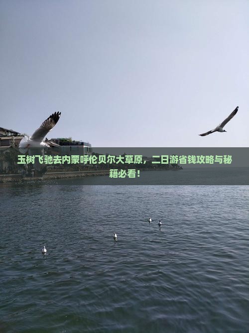 玉树去内蒙呼伦贝尔大草原二日游