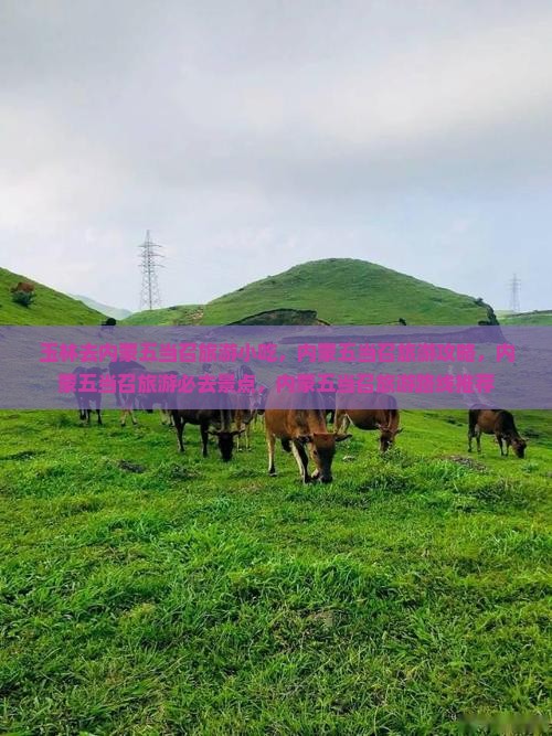 玉林去内蒙五当召旅游小吃