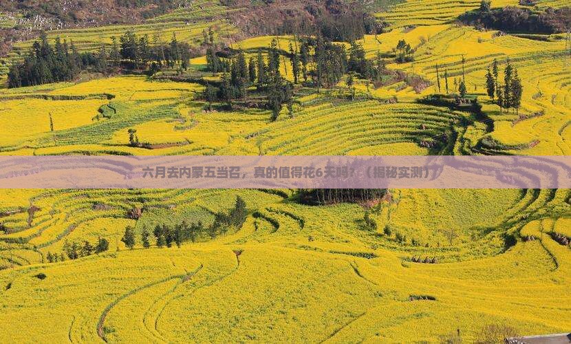 六月到内蒙五当召六日游