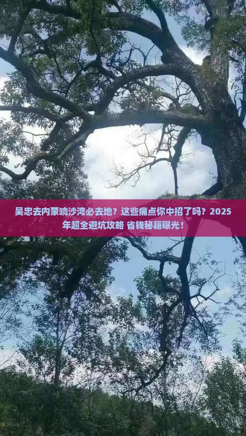 吴忠去内蒙响沙湾必去地