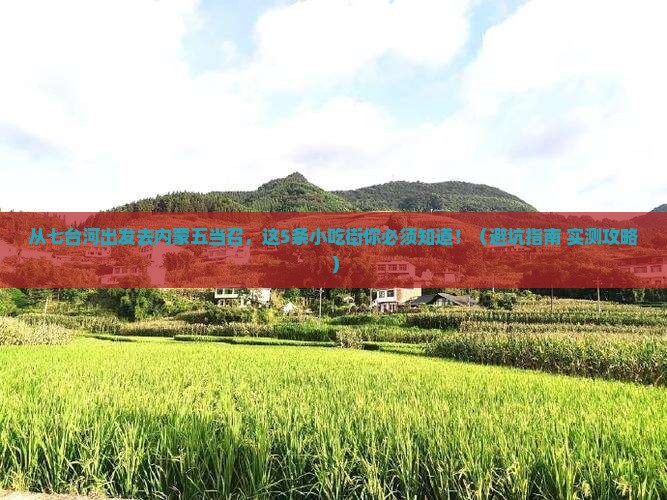 七台河去内蒙五当召旅游小吃