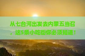 七台河去内蒙五当召旅游小吃