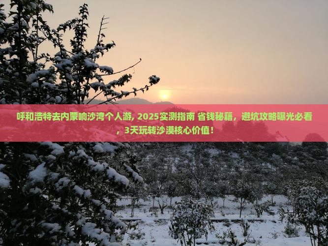 呼和浩特去内蒙响沙湾个人游