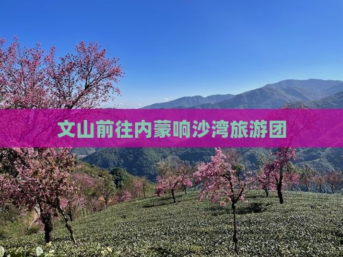 文山去内蒙响沙湾团体旅游