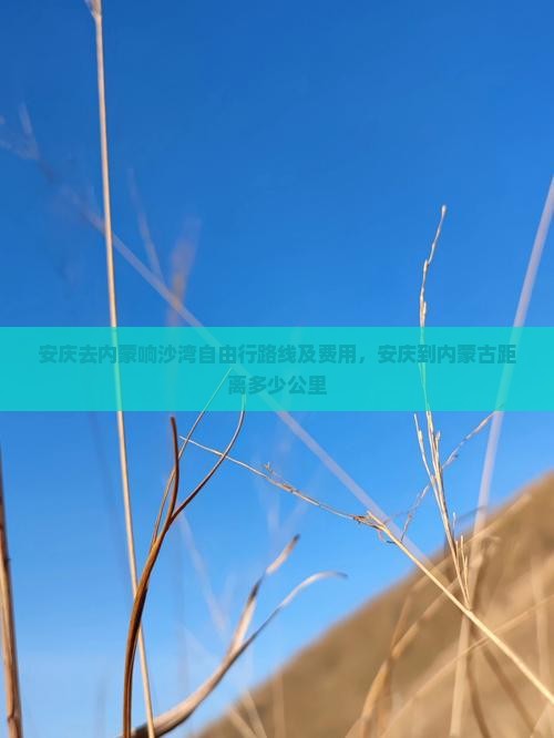 安庆去内蒙响沙湾自由行